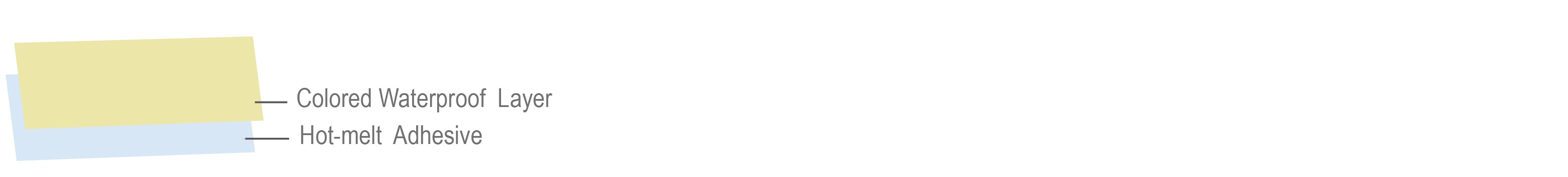 2l-color-2.jpg